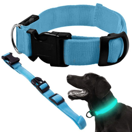 Obroża LED niebieska M 36-52cm - widoczność w nocy