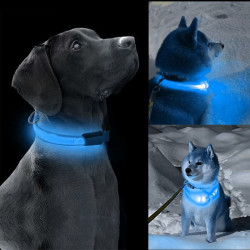 Obroża LED niebieska S 34-42cm - widoczność po zmroku