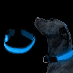 Obroża LED niebieska S 34-42cm - widoczność po zmroku