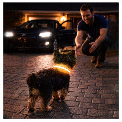 Obroża LED żółta S 34-42cm - widoczność po zmroku