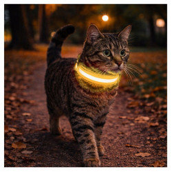 Obroża LED żółta S 34-42cm - widoczność po zmroku