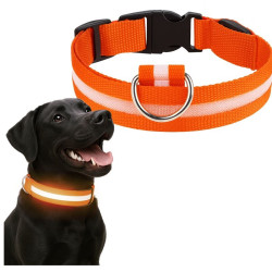 Obroża LED pomarańczowa S 34-42cm - widoczność po zmroku