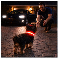 Obroża LED czerwona S 34-42cm - widoczność po zmroku