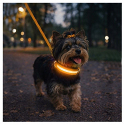 Obroża LED pomarańczowa S 34-42cm - widoczność po zmroku