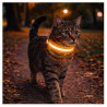 Obroża LED pomarańczowa S 34-42cm - widoczność po zmroku